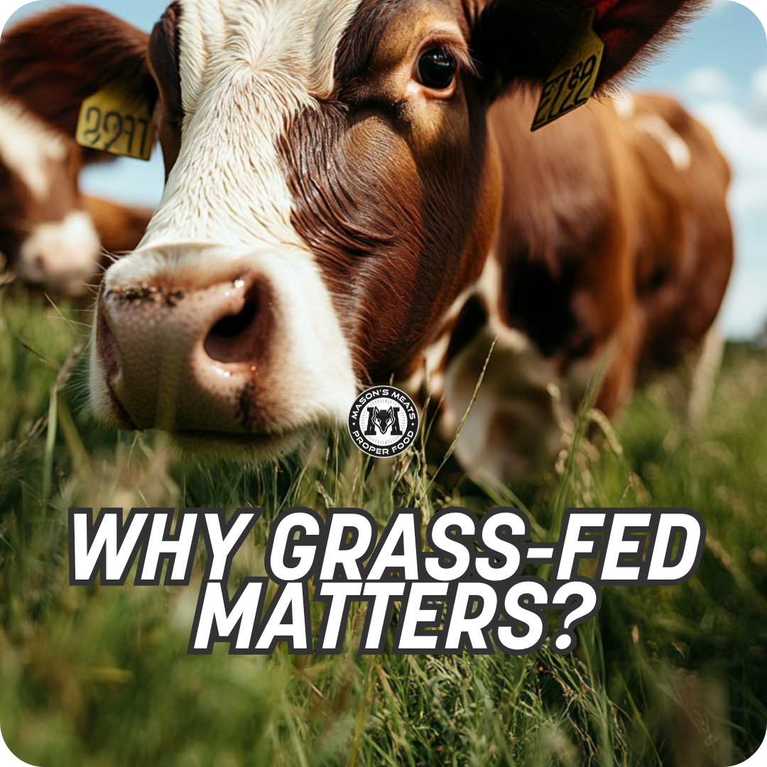 The Real Difference Between Grass-Fed and Grain-Fed Beef (And Why It Matters)